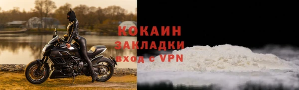 стафф Арсеньев