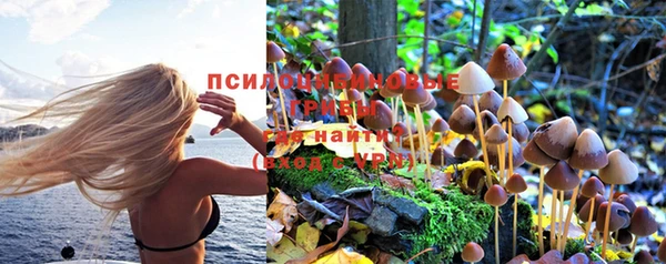 стафф Арсеньев