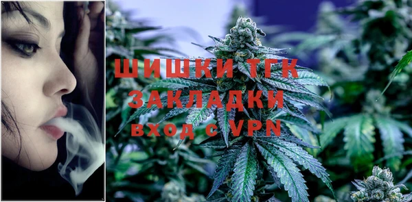 стафф Арсеньев