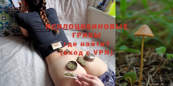 стафф Арсеньев