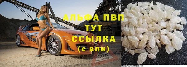 стафф Арсеньев