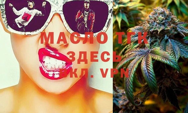 шишки Инта