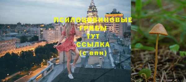 дживик Армянск